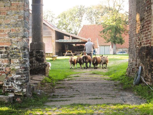 Le centre touristique du Huysmanhoeve est établi dans une superbe ferme ancienne.