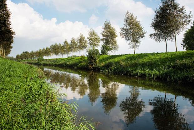 Le Meetjesland, oasis de silence entre Bruges et Gand