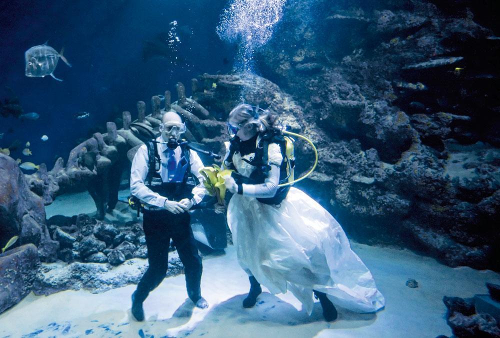 James Oliver en Kathryn O'Connor tonen letterlijk hoe diep hun liefde voor mekaar gaat in het Sea Life London Aquarium. En dat nog wel op Valentijnsdag. Hun keuze is niet toevallig. De twee ontmoetten elkaar in dit aquarium, waar ze werken als verzorger. Maar hoe moet dat nu met die kus?