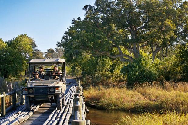 Botswana: op safari in de Okavangodelta