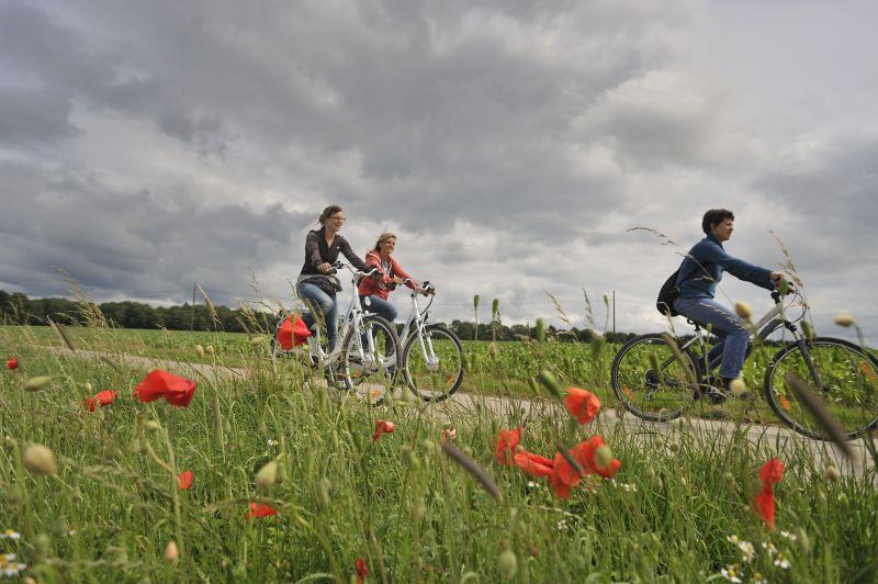 La Famenne : 1er réseau de voies cyclistes en Wallonie
