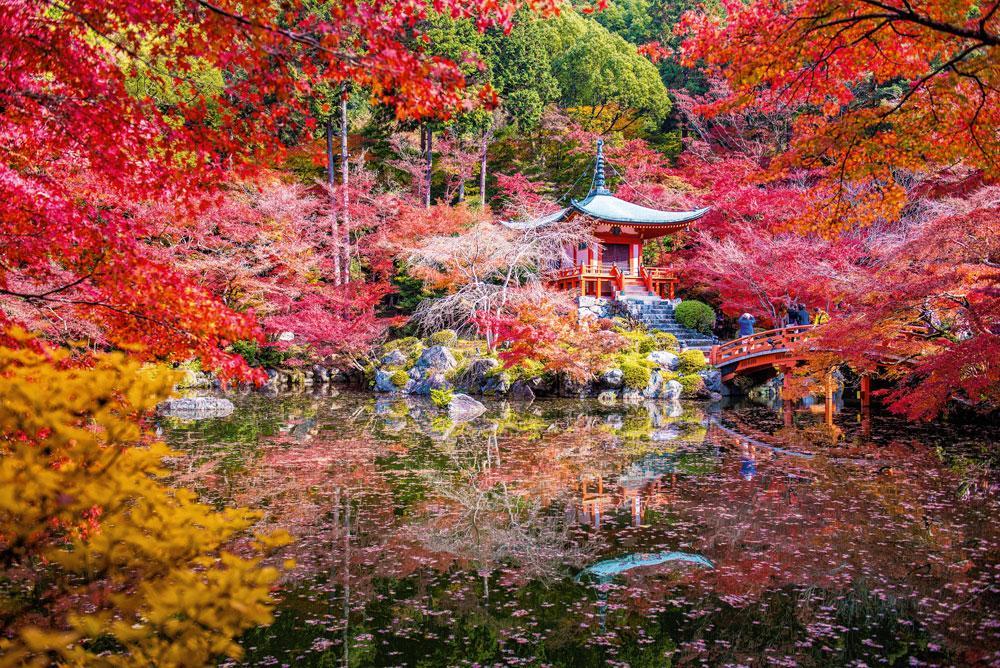 Le temple de Daigoji, Kyoto, Japon. Un véritable tableau dans lequel on rêve d'entrer.