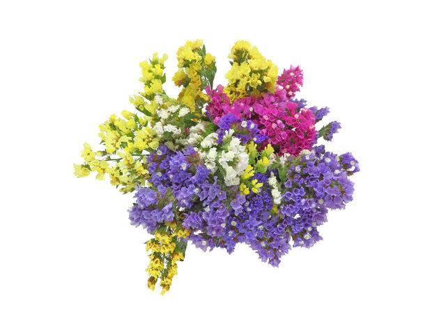 Sécher les plus belles fleurs du jardin ... tout en gardant la fraîcheur de leurs coloris.
