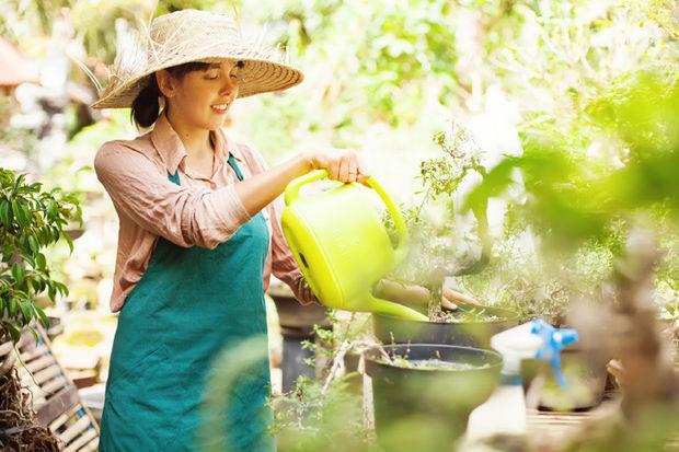Jardinage: sept astuces pour utiliser moins d'eau