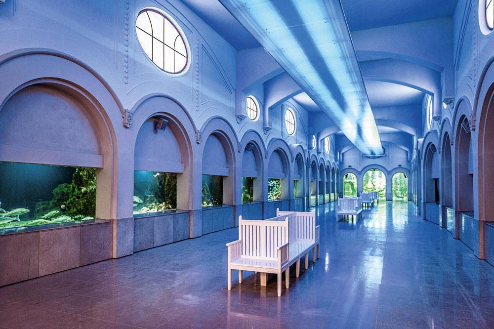 Het aquarium dateert uit 1911 en herbergt nu 4.000 vissen in het tweede grootste rifaquarium van Europa.
