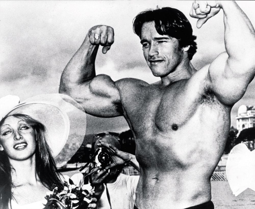 Schwarzenegger krijgt vleugels