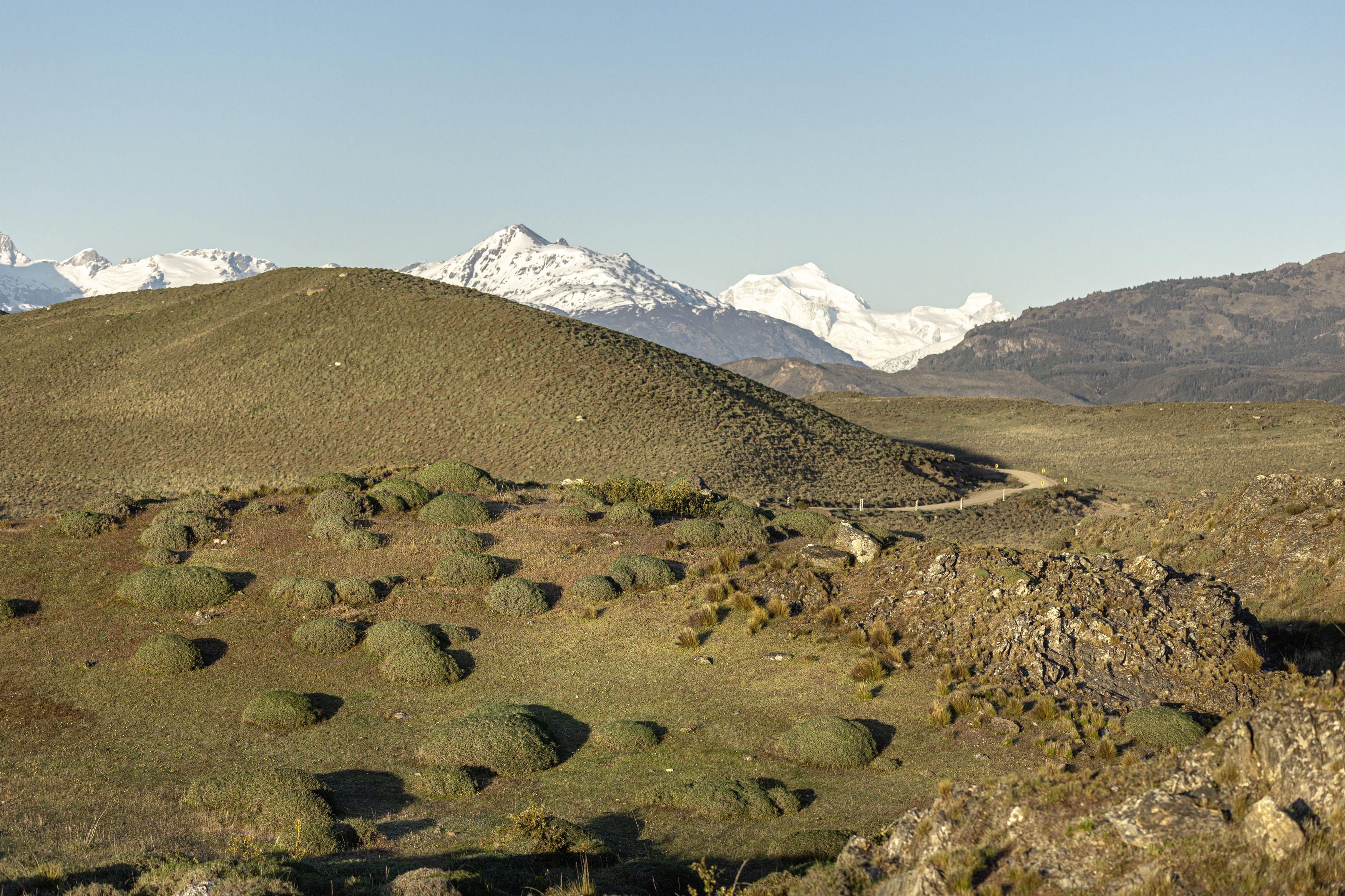 Patagonia National Park, Chili.
© Rolex/Sofía López Mañan