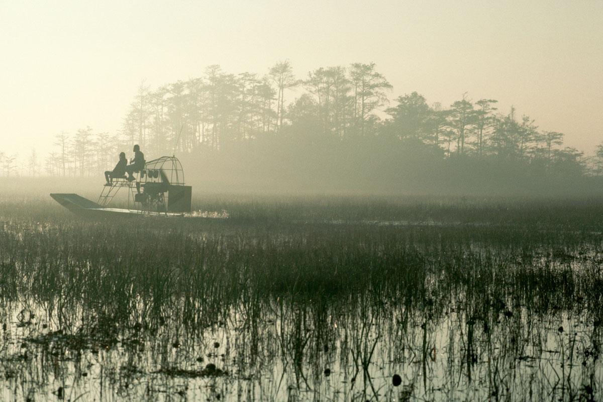 Everglades