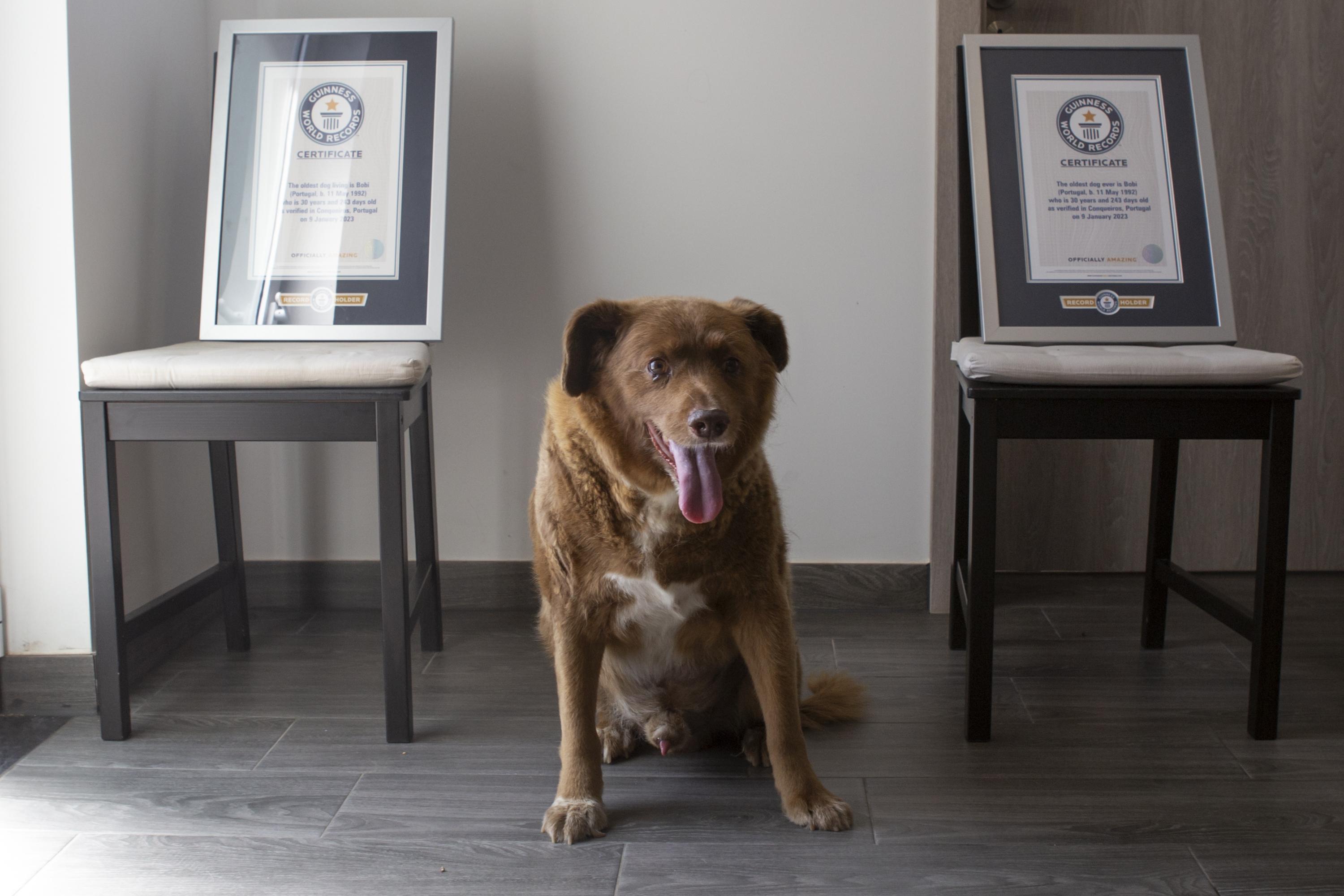 Bobi posant avec ses deux records du monde.