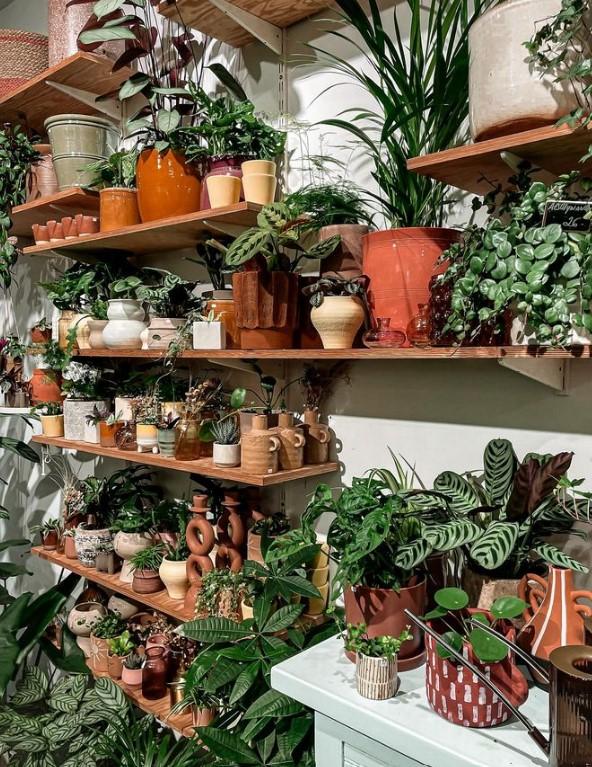 onze favoriete plantenwinkels