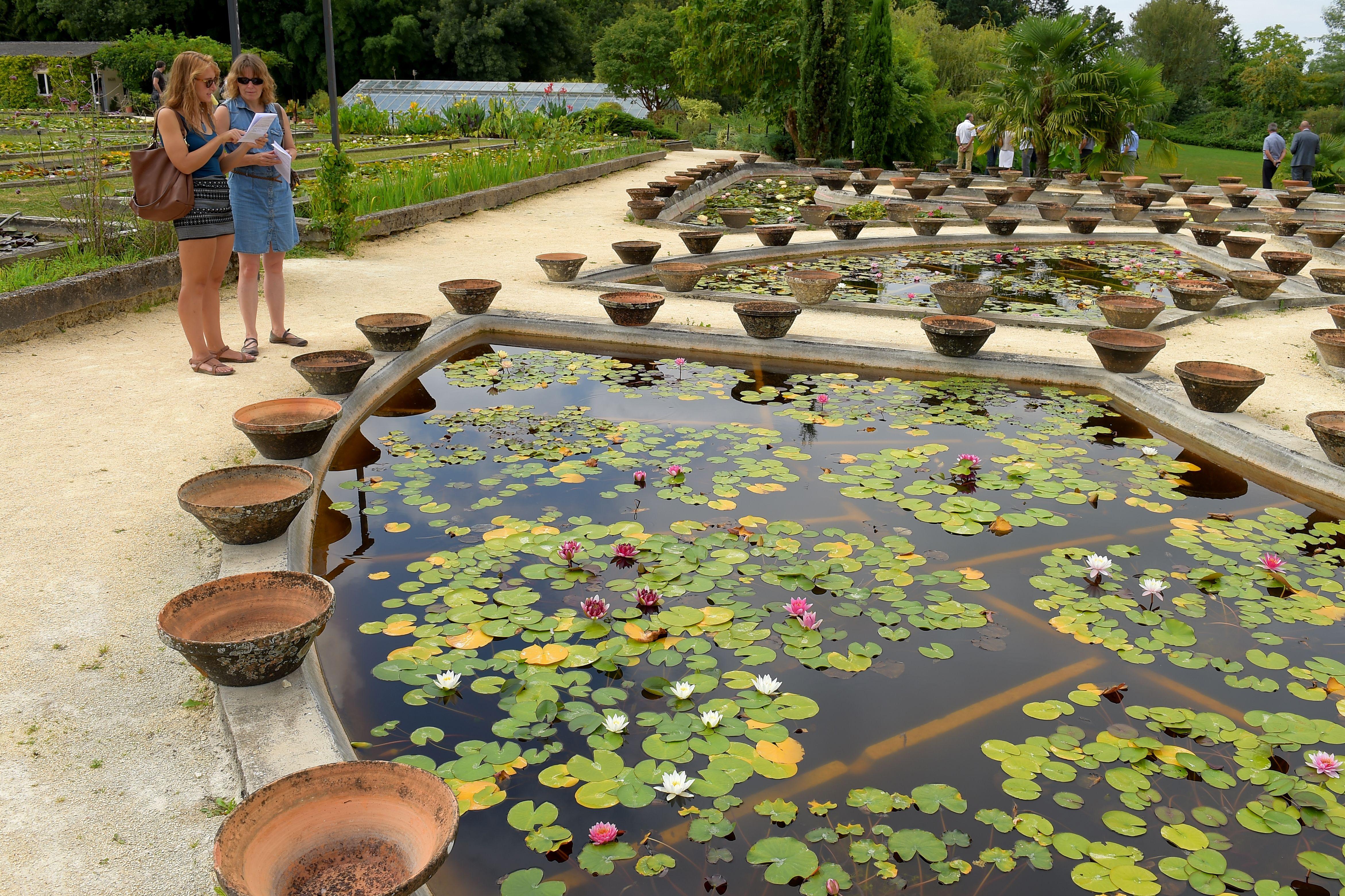 Les jardins de Latour-Marliac sont ouverts au public en été