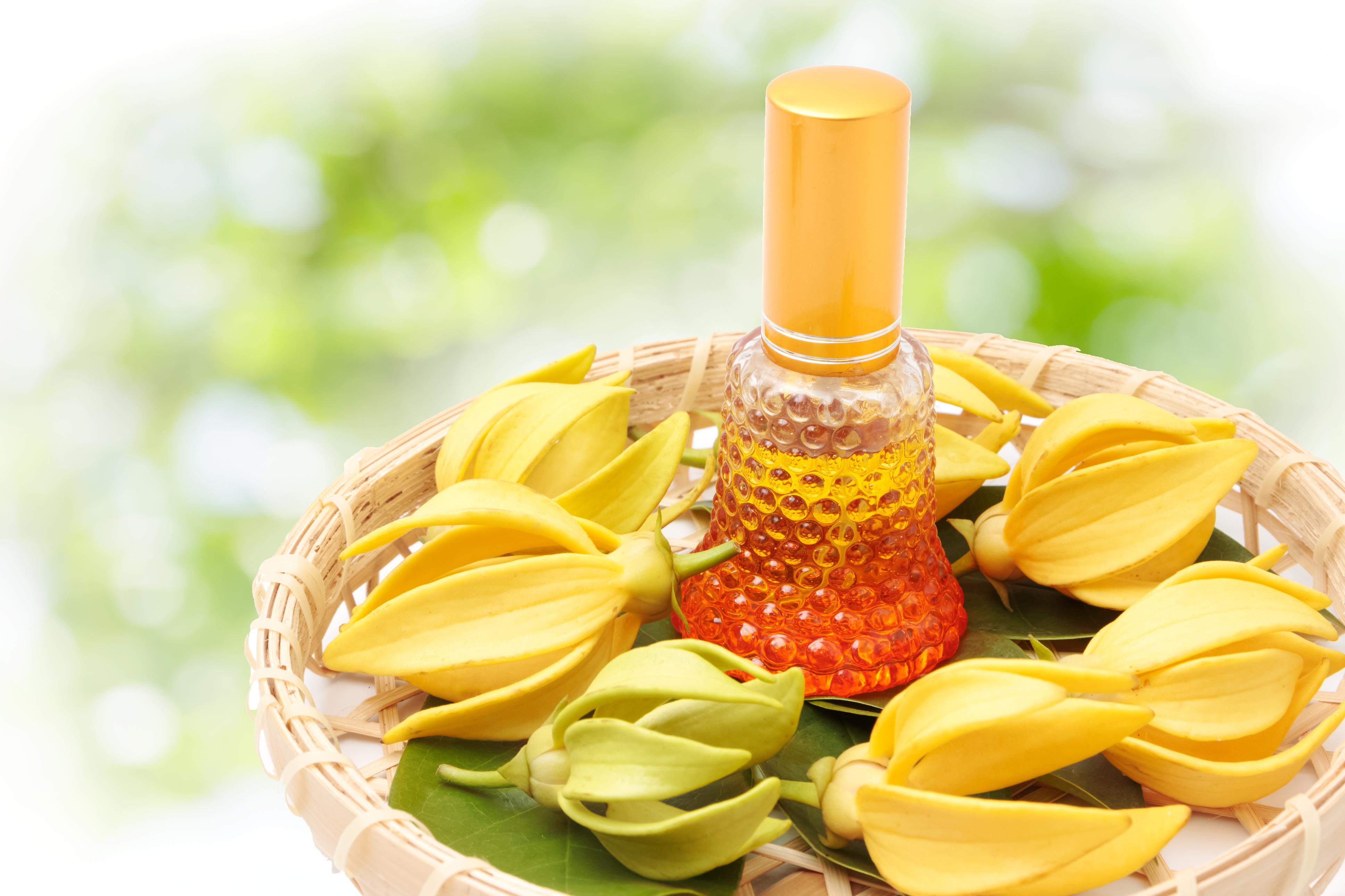 Huile essentielle d'Ylang-Ylang.