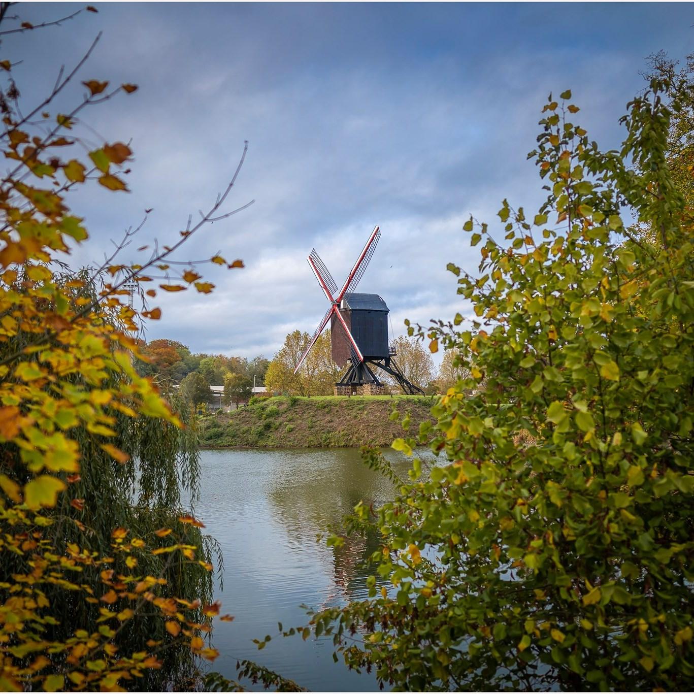 Le moulin à vent, le Lindenmolen © Facebook du domaine provincial de Halve Maan.