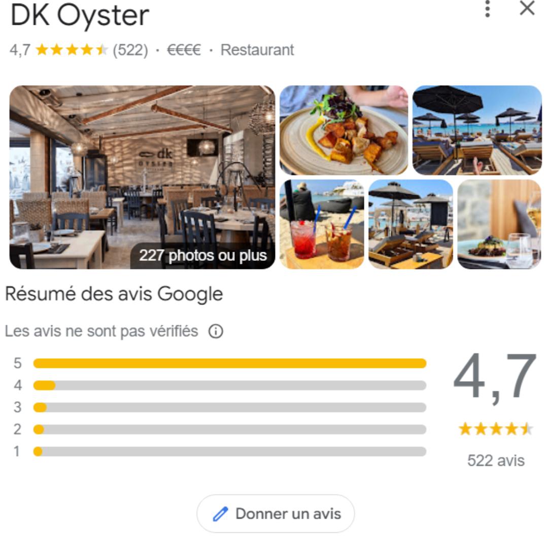 Avis DK Oyster Google