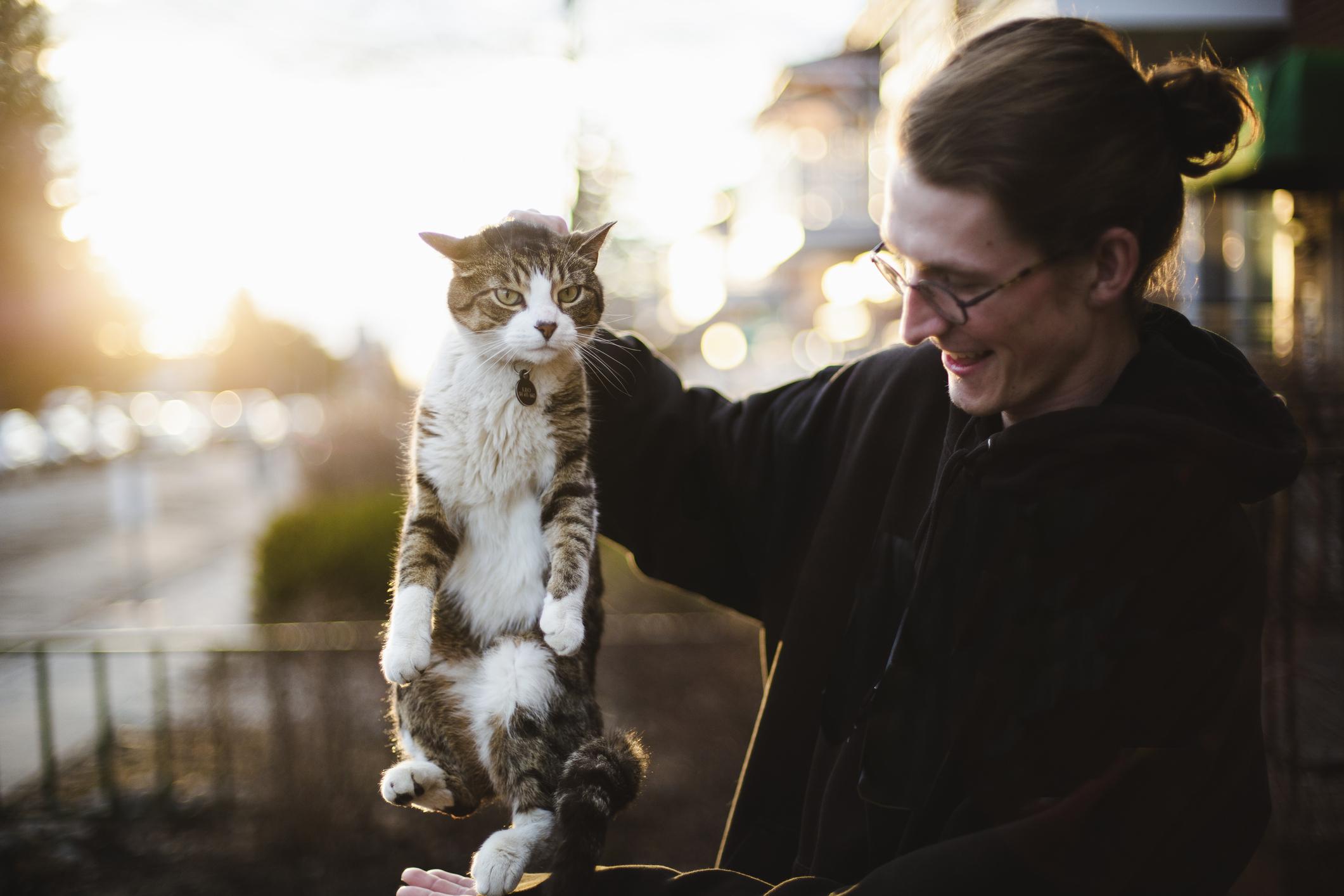 Mythe: prendre un chat par le cou est ok