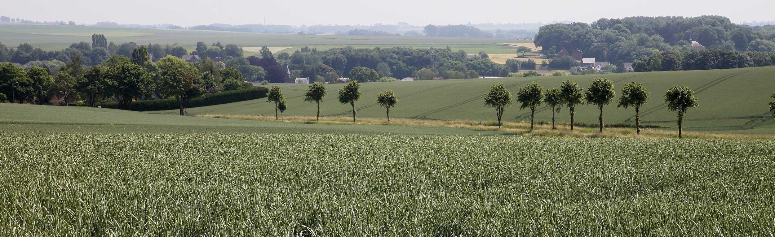 Balade sur les hauteurs de la commune. © Office du Tourisme Orp-Jauche