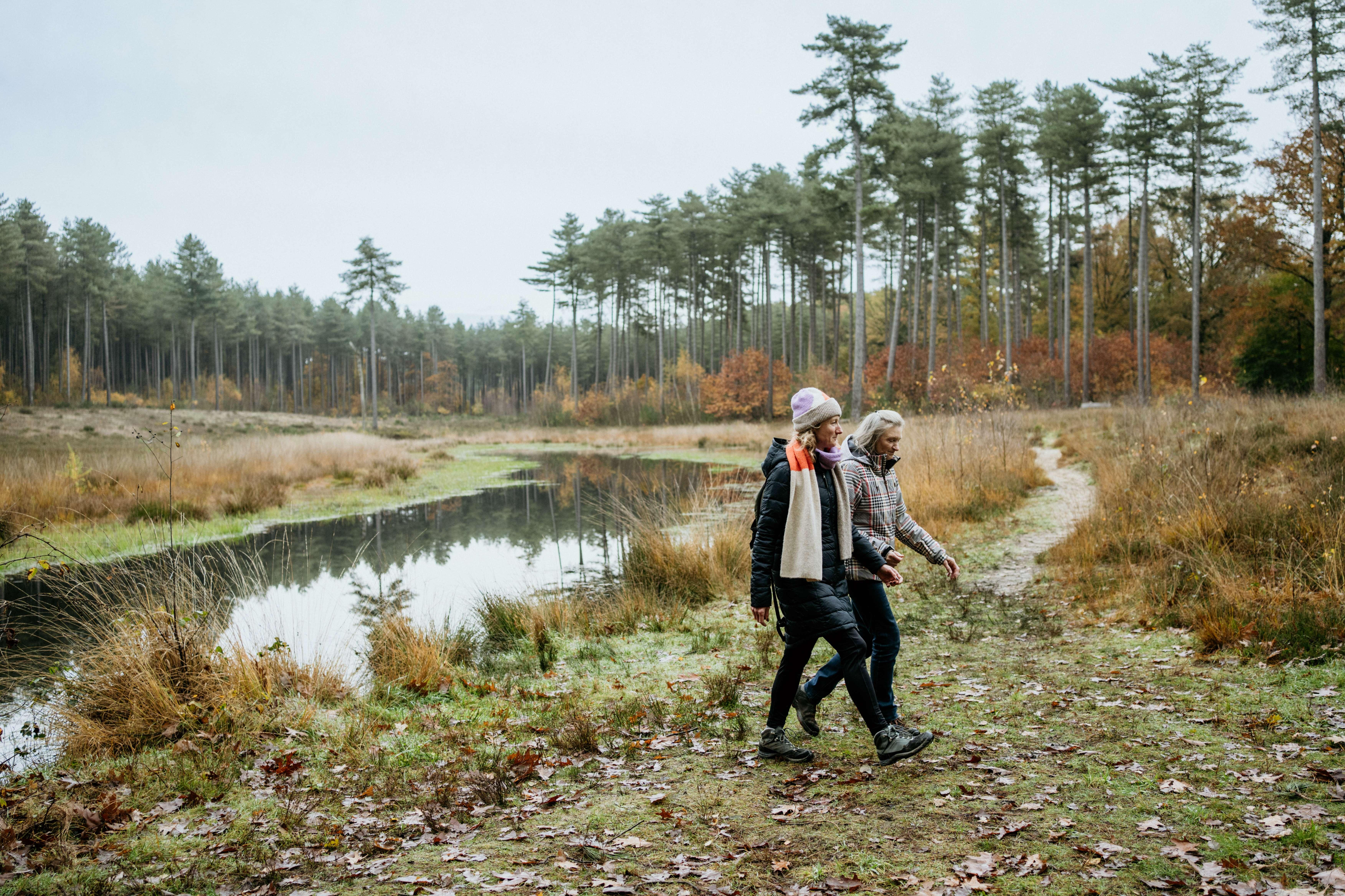 drevenwandeling westerlo