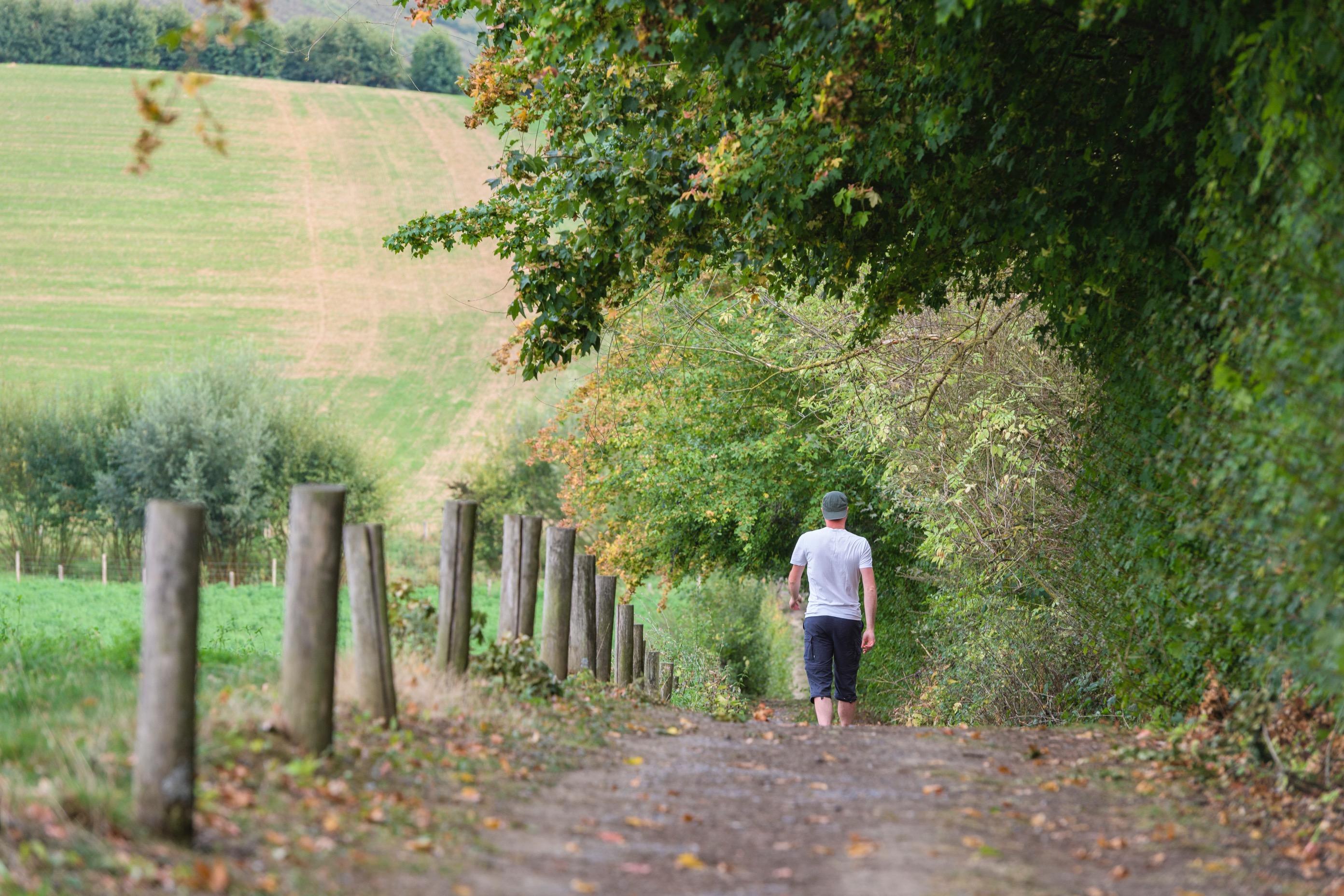 Wandelroute Mettekoven