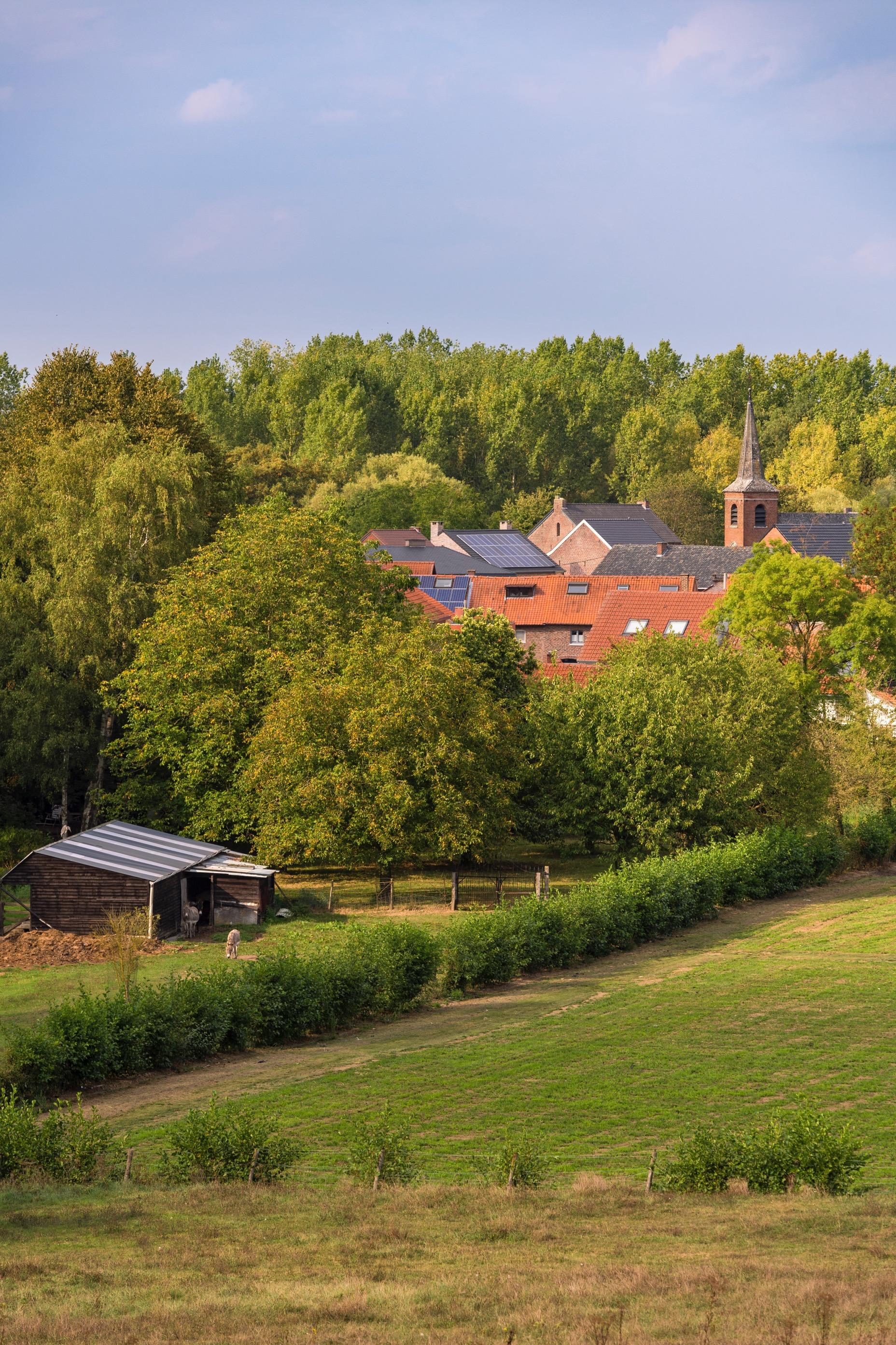 Wandelroute Mettekoven