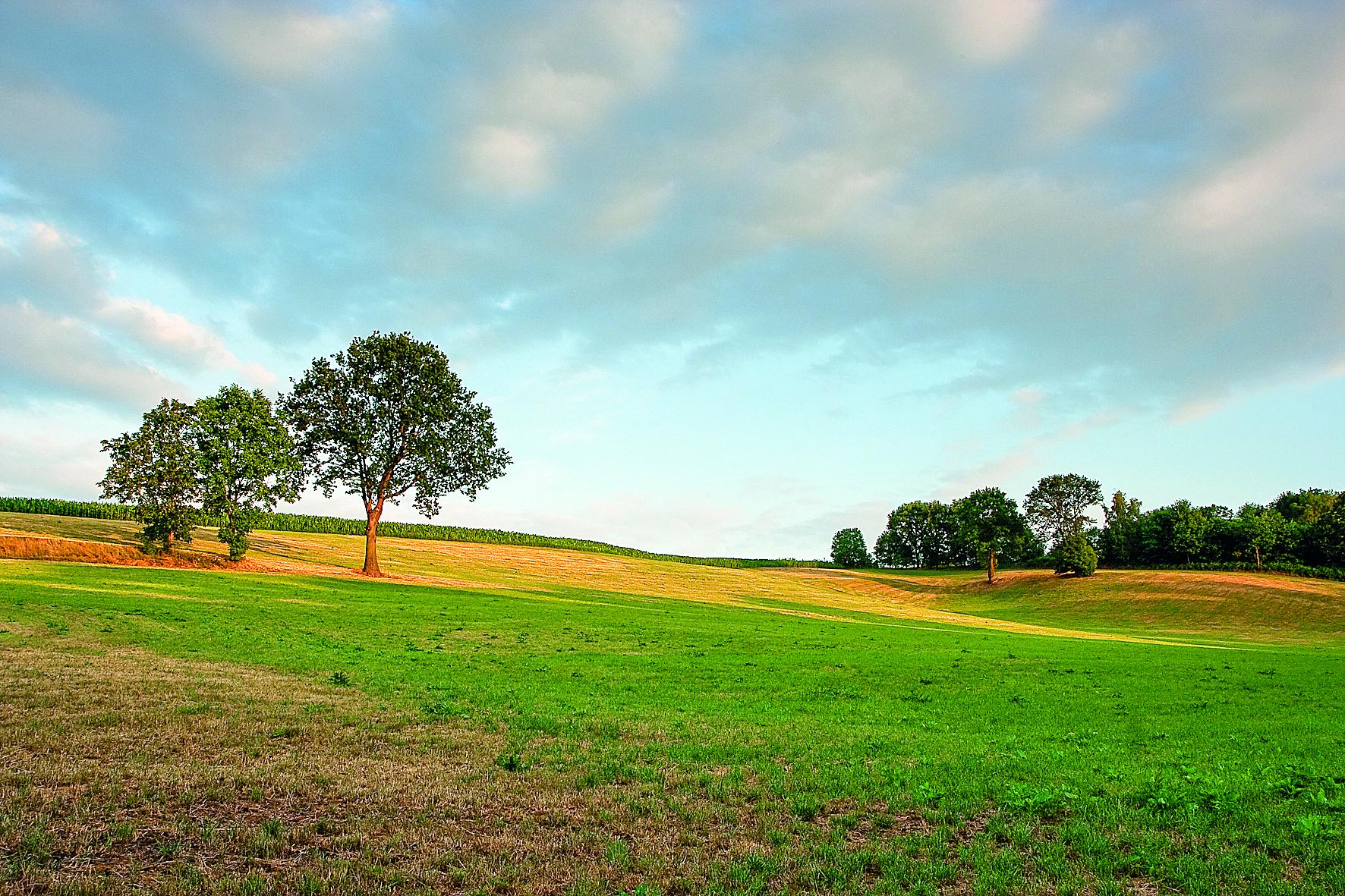 wissenbeemdwandeling