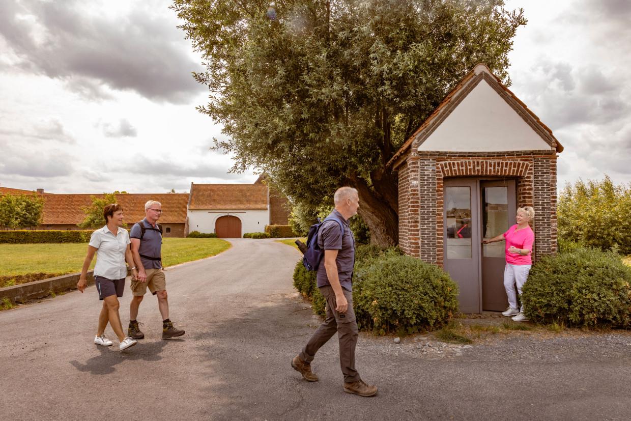 oosthovewandeling Rollegem-Kapelle