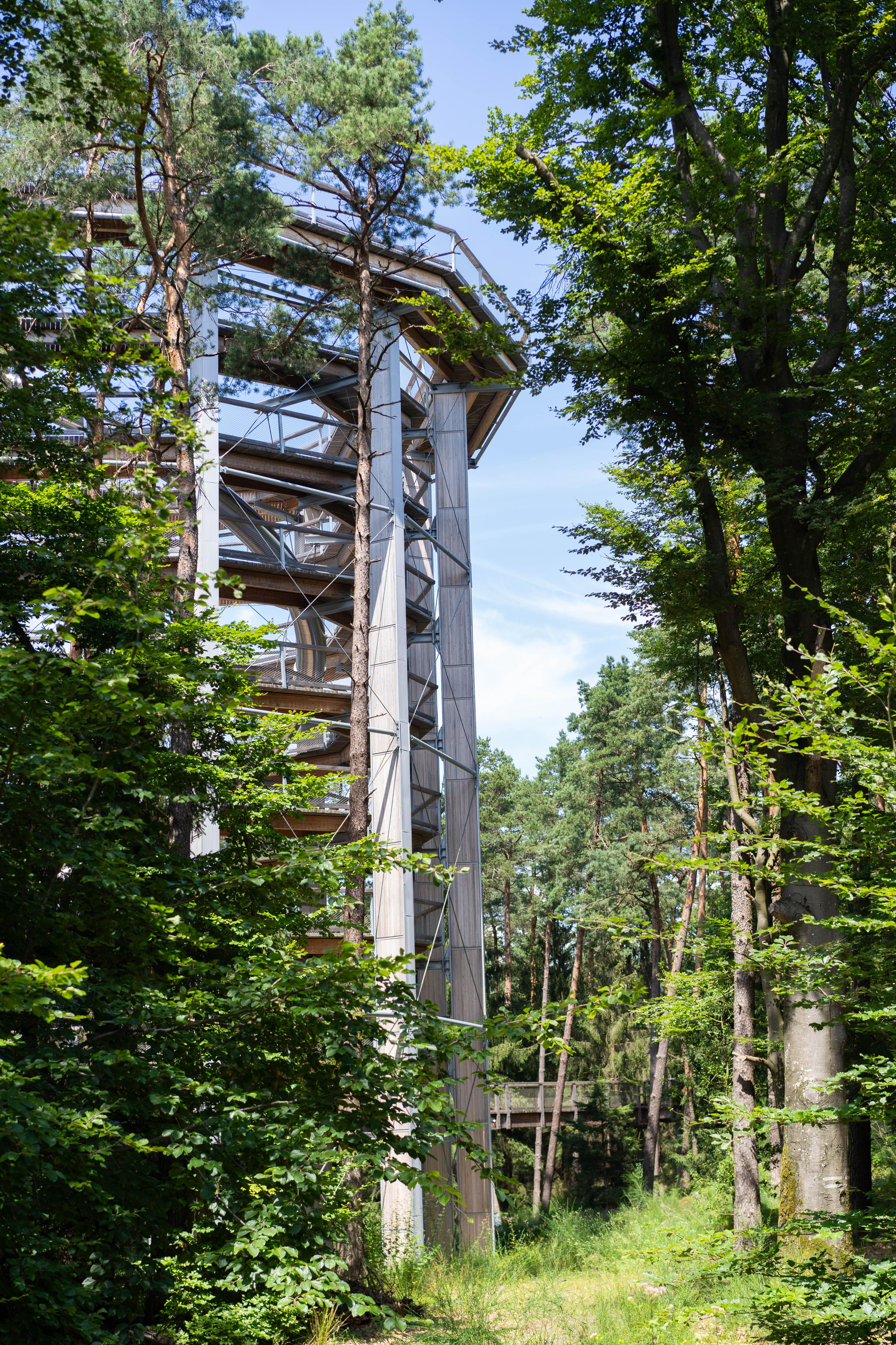 Vosges du Nord