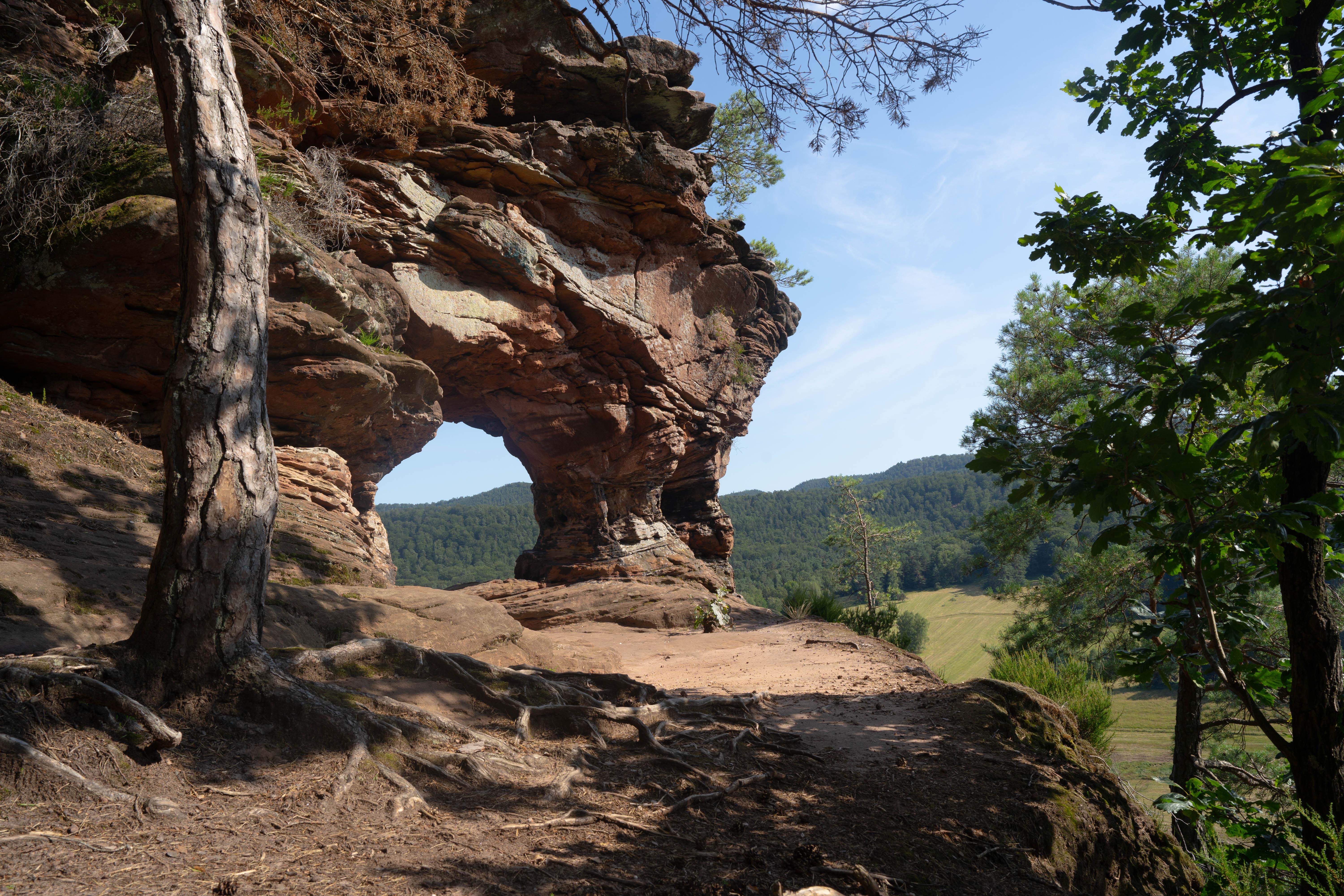 Vosges du Nord