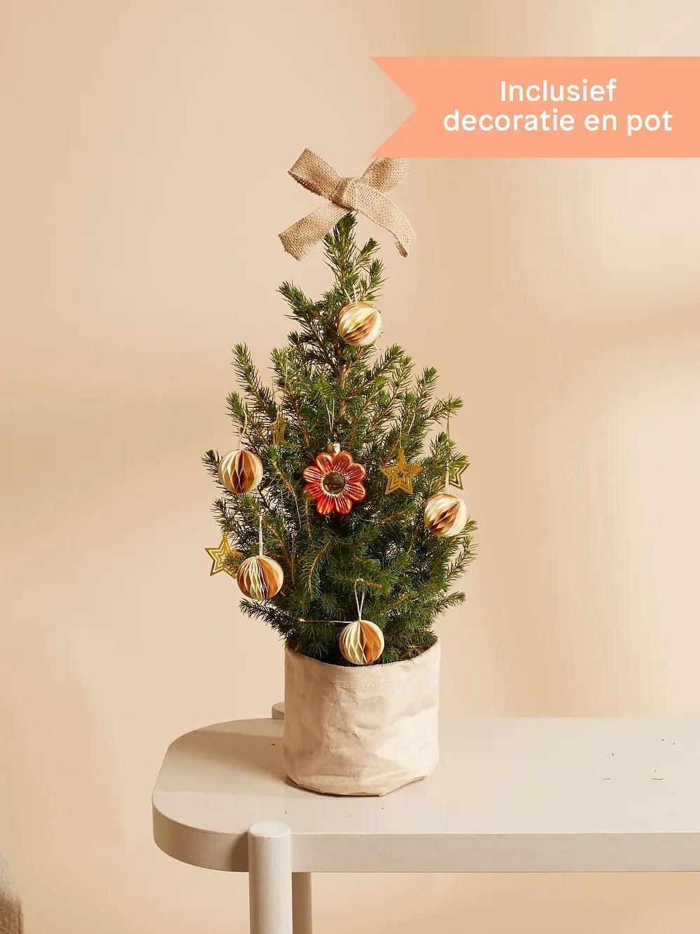 kleine kerstboom