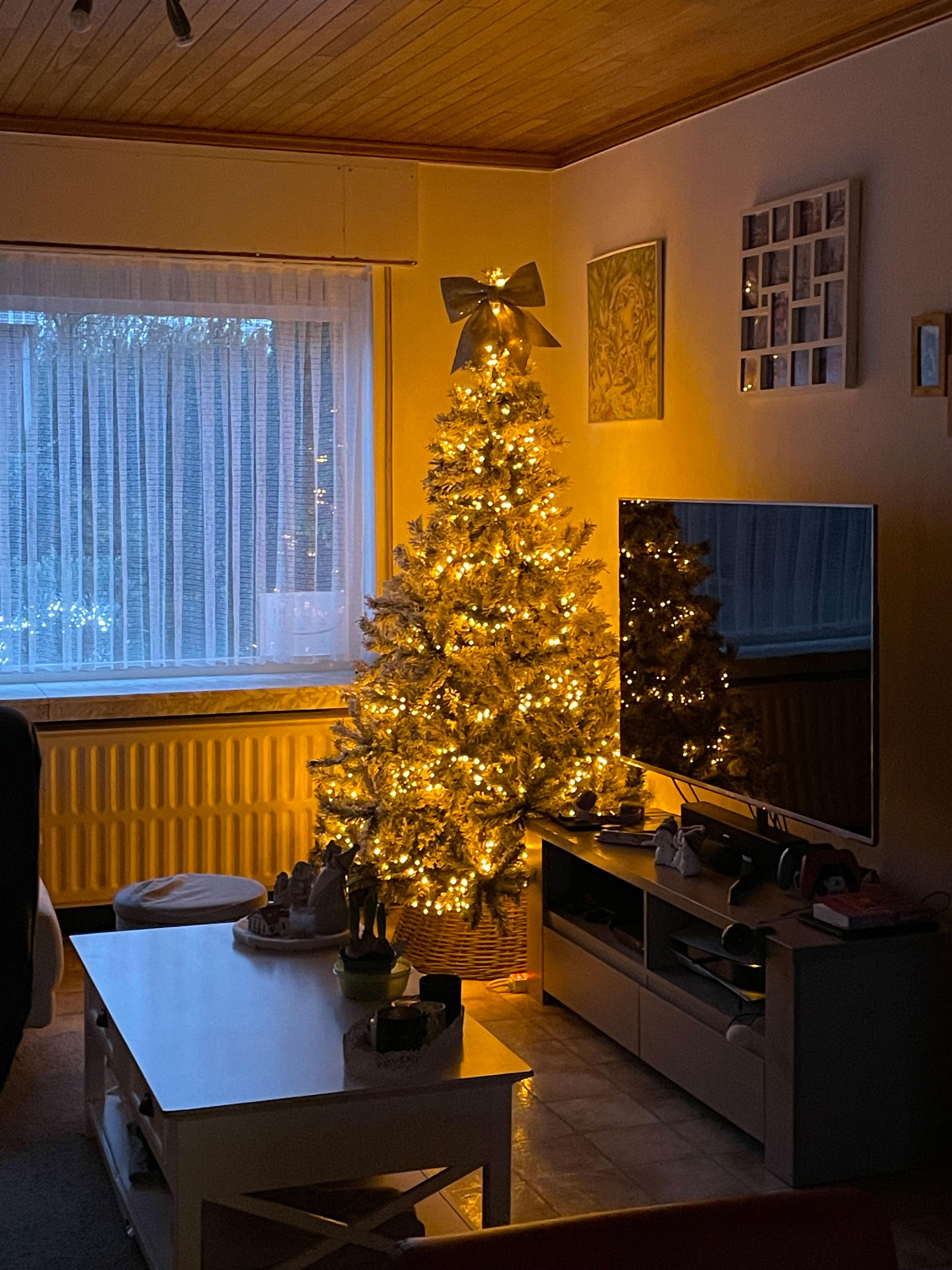 kerstboom