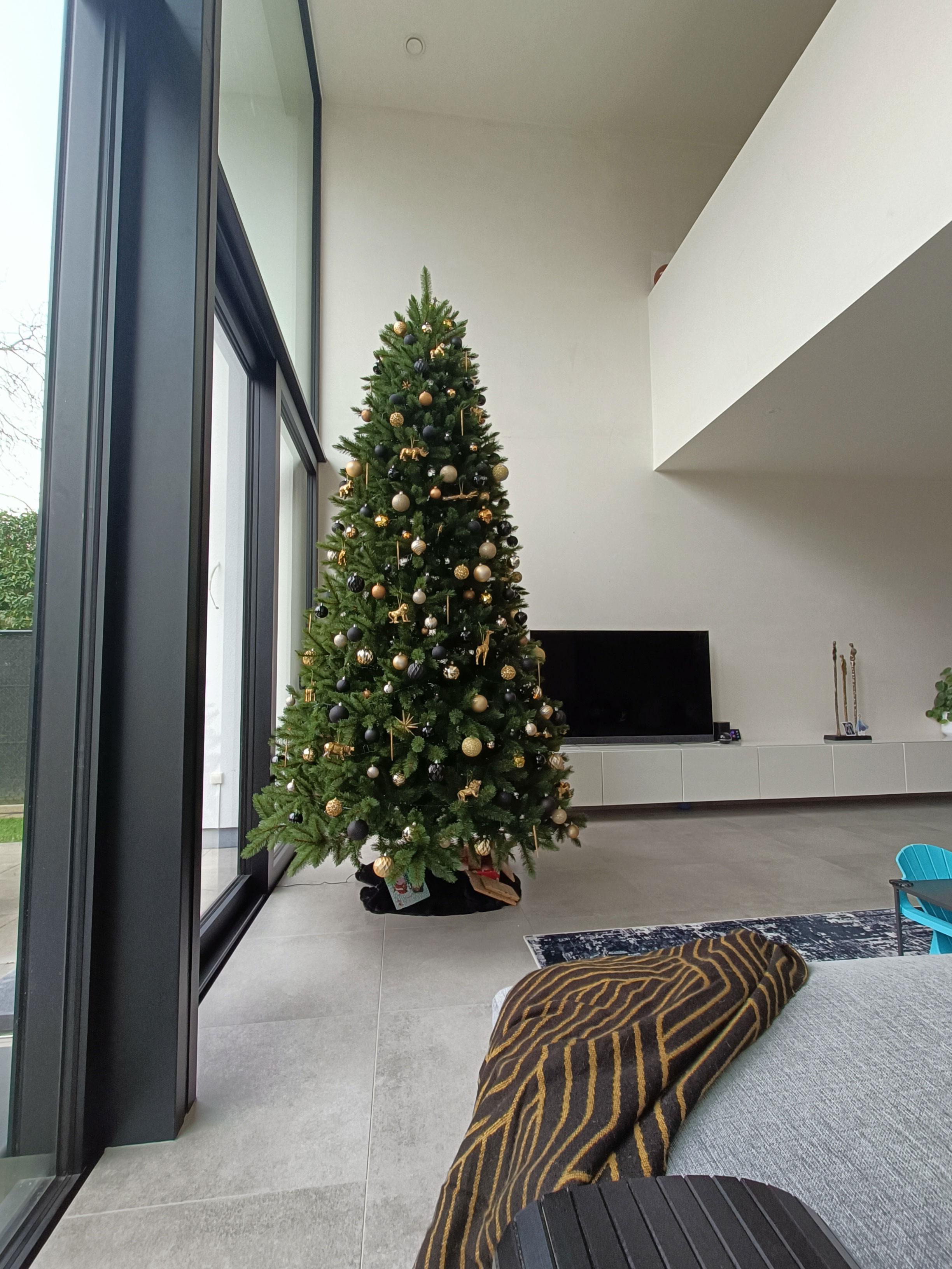 kerstboom