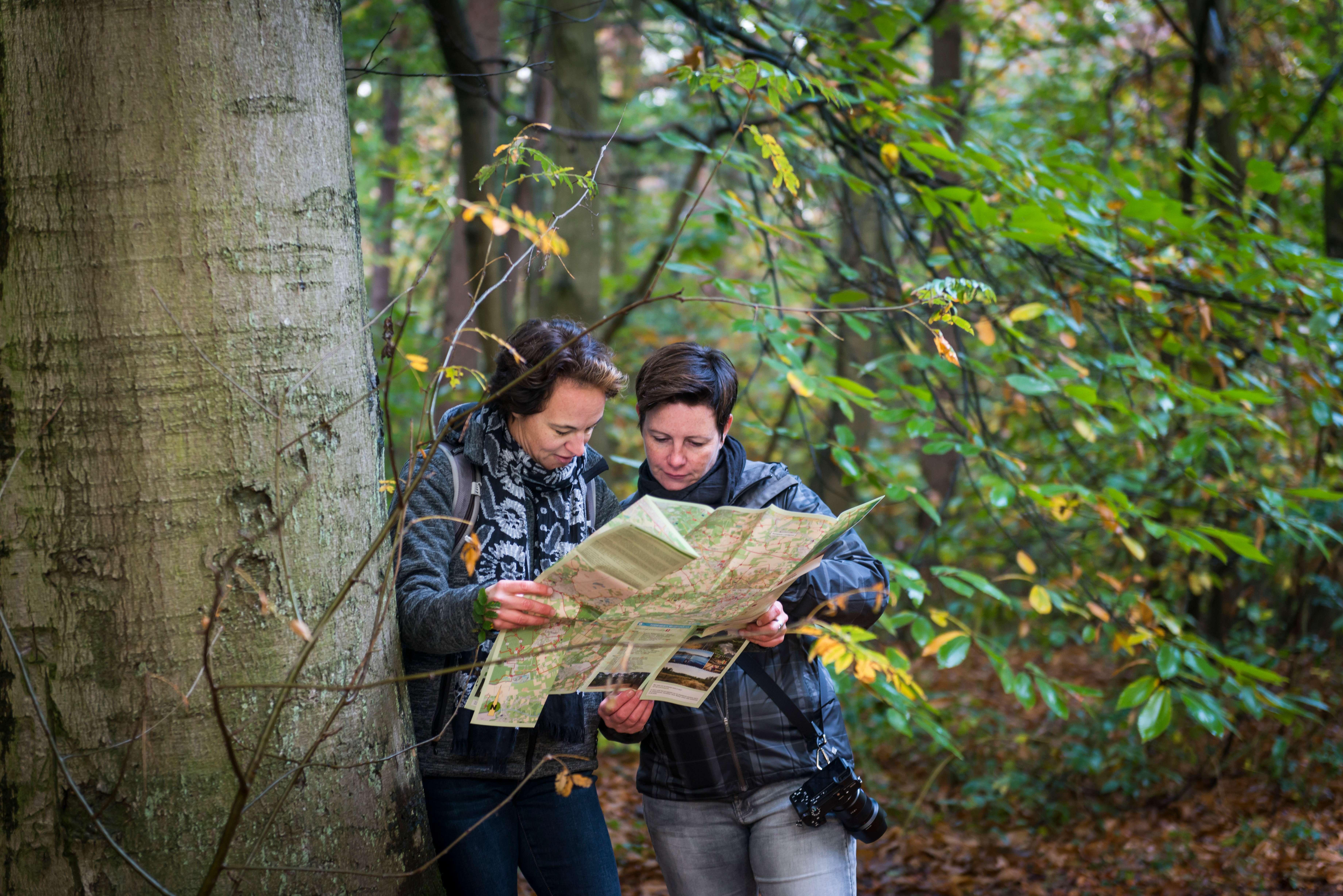 wandelroute Vorselaar