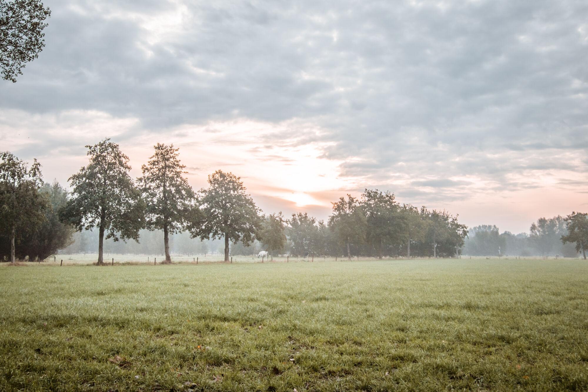 kruiskapelwandeling eksaarde