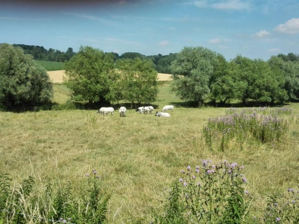 kleine kluiswandeling Anzegem