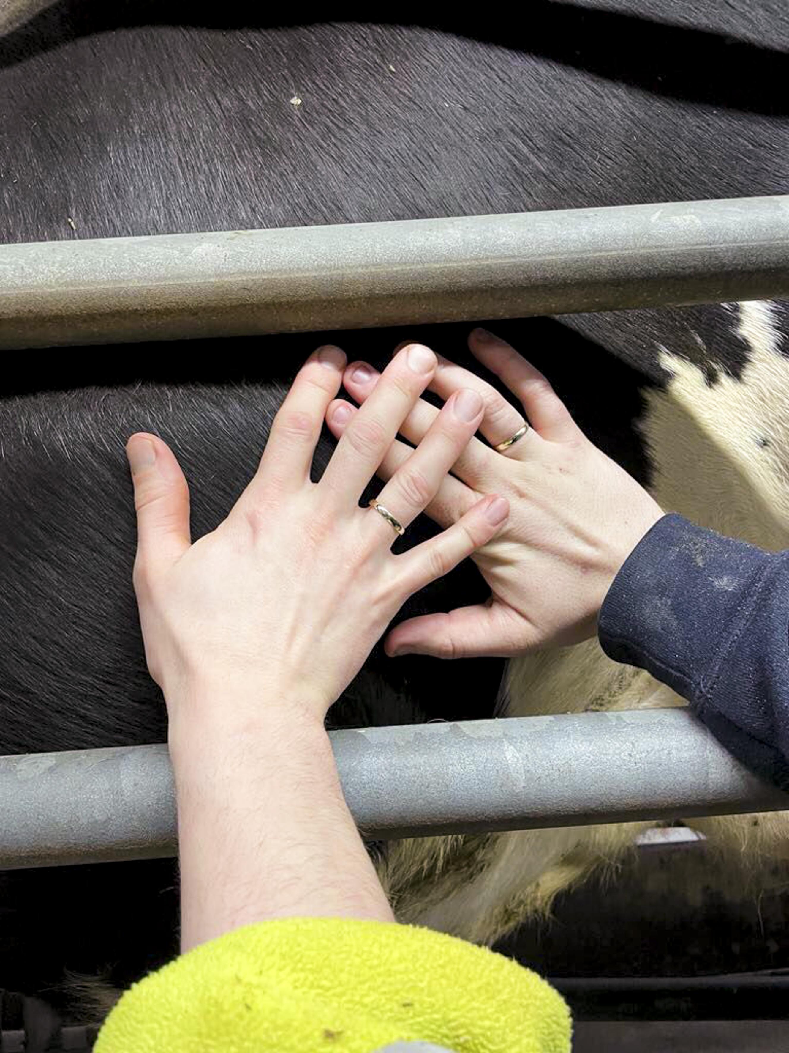 Boer zkt Vrouw