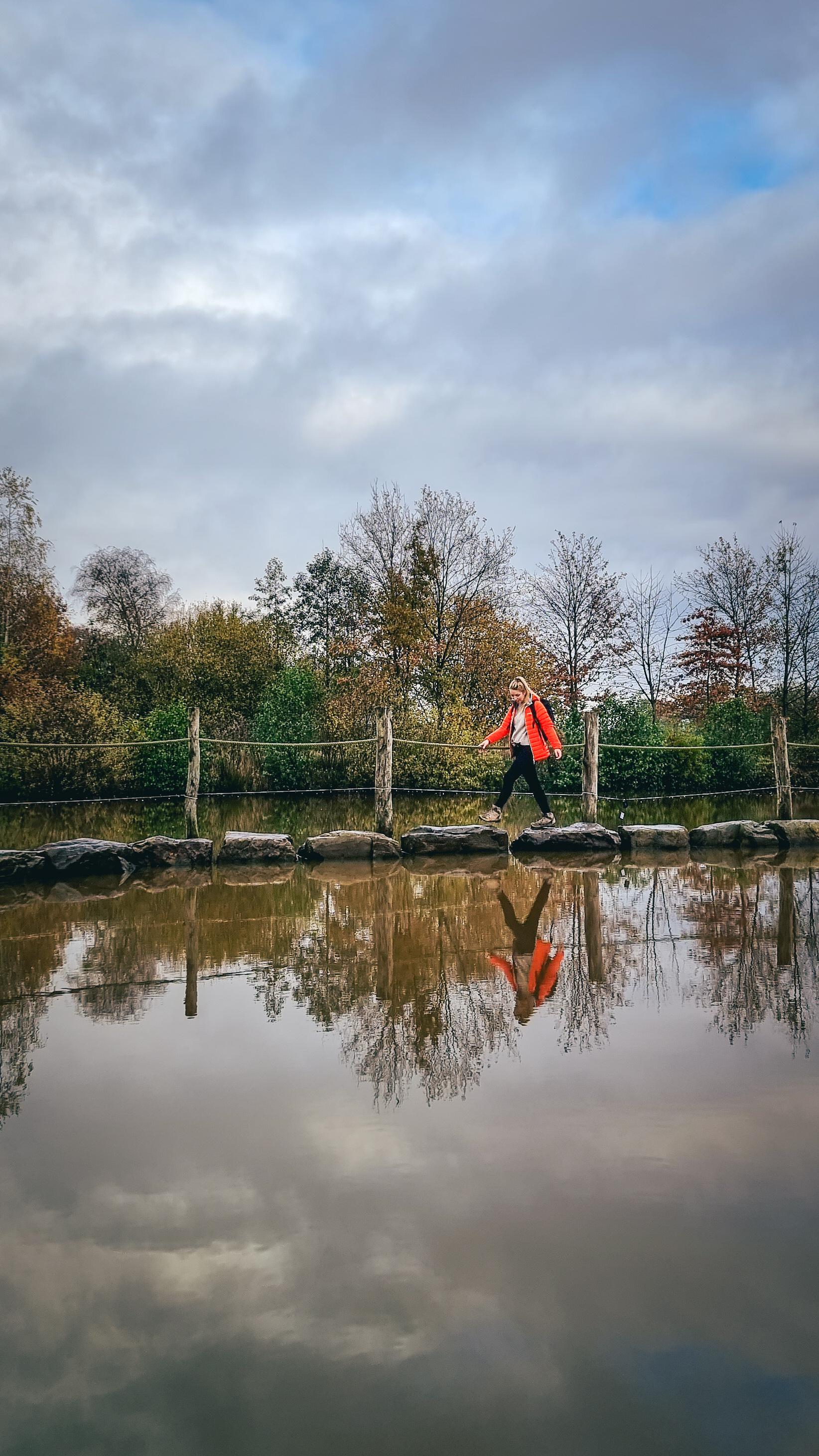 winter wandelen antwerpen