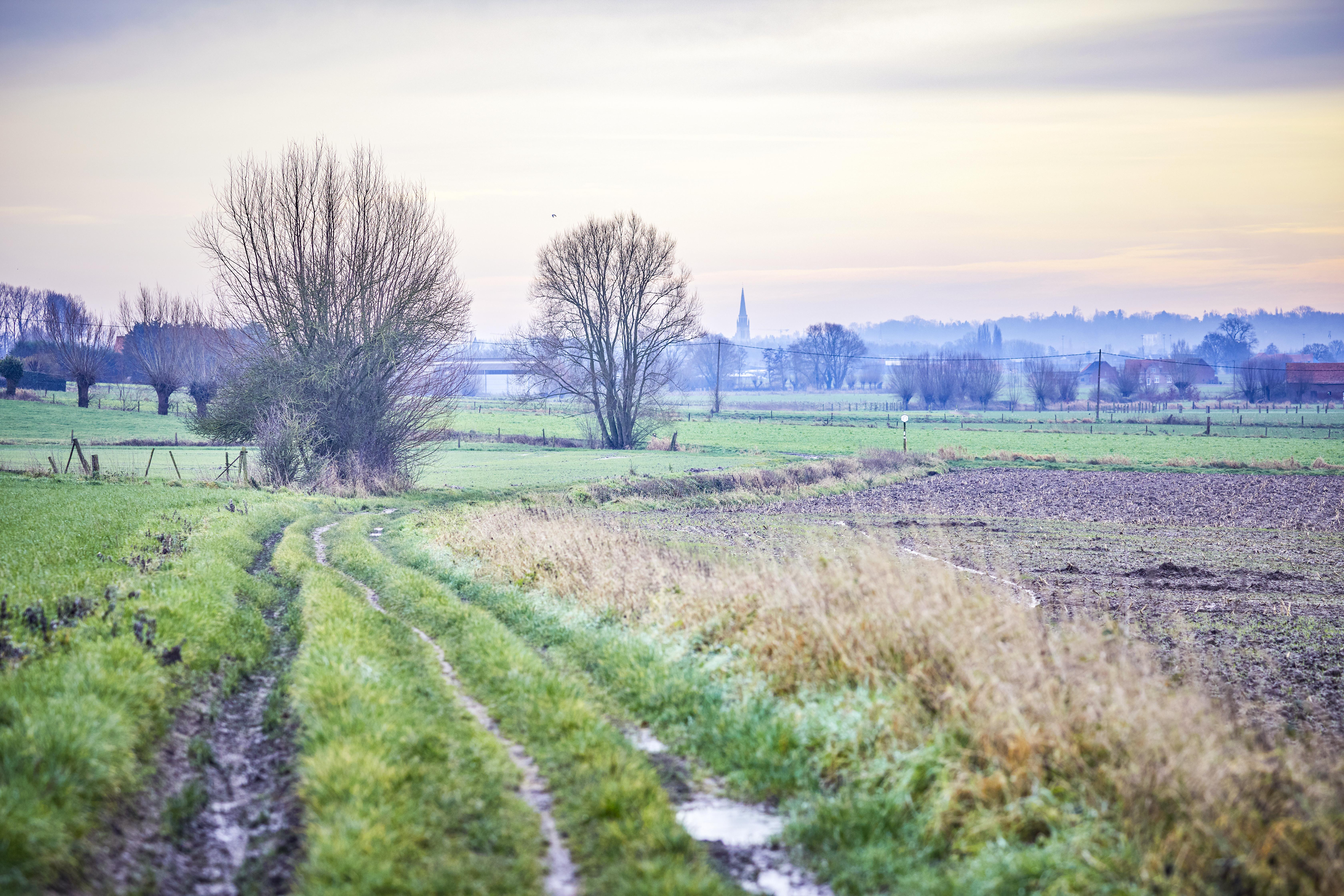 wandeling kruiseke