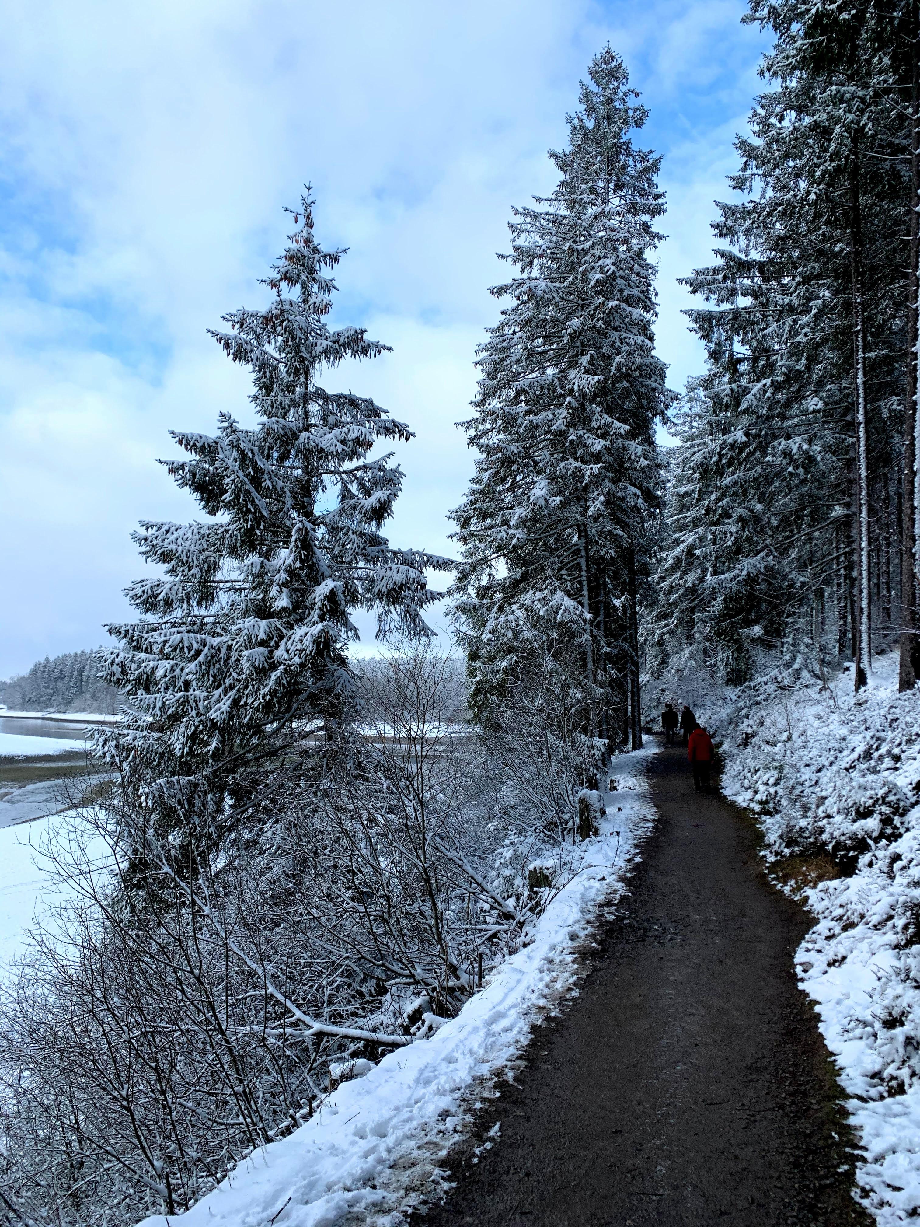 winterwandelingen