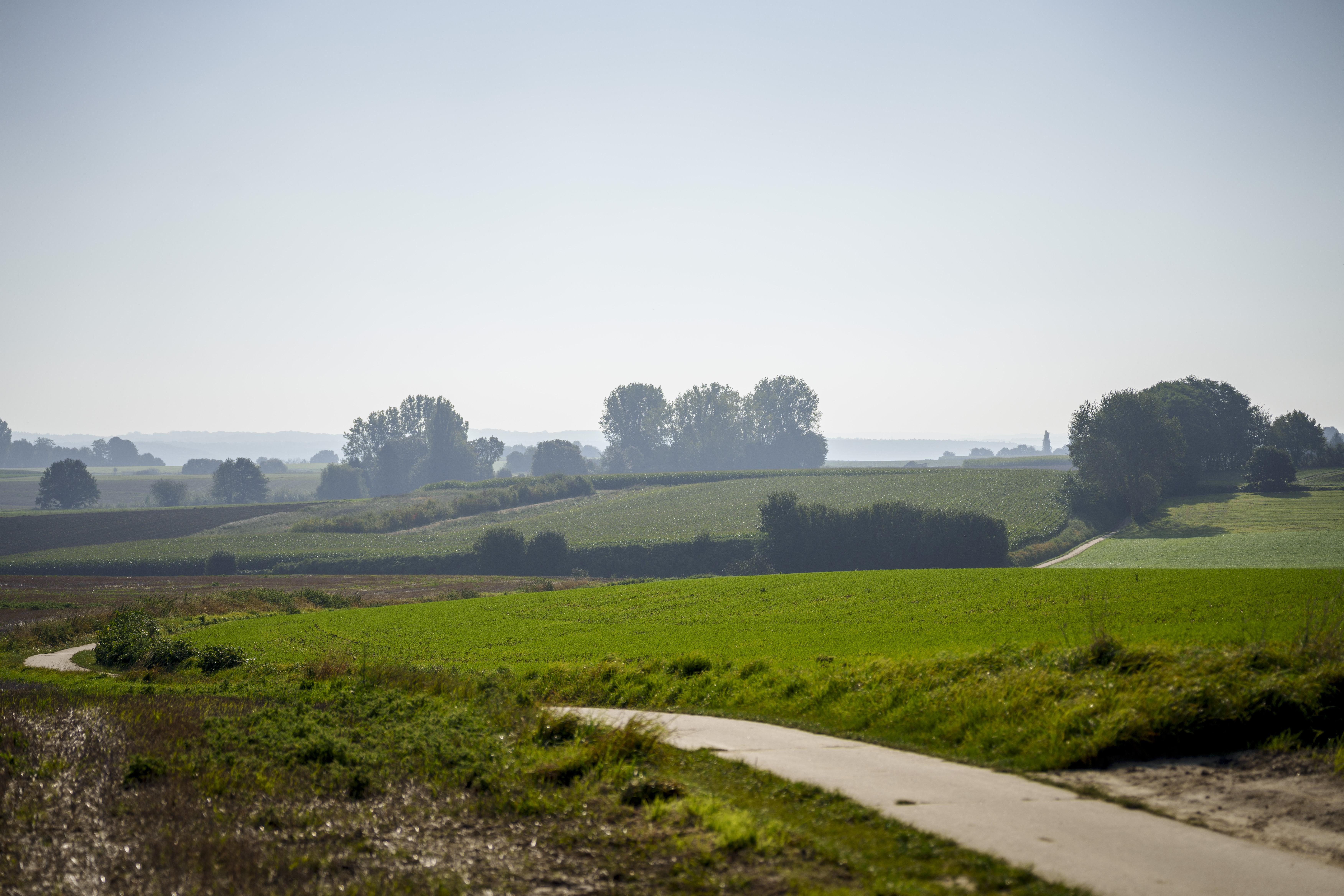 winterwandelingen