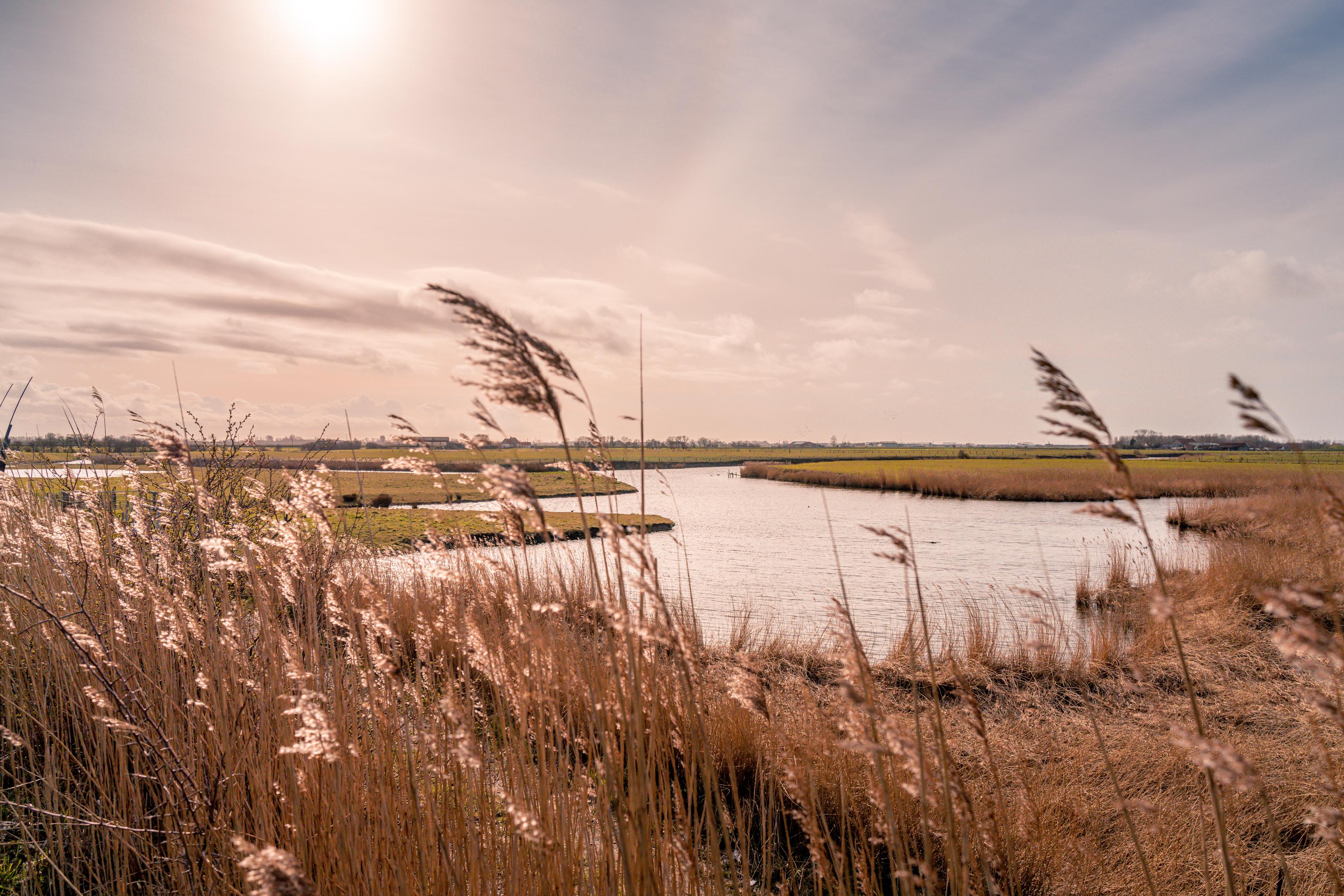 winters wandelen west-vlaanderen