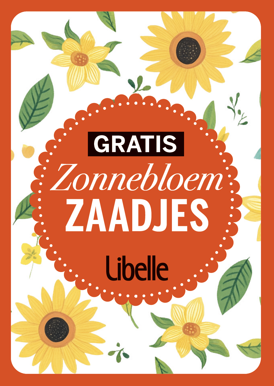 zonnebloemzaadjes