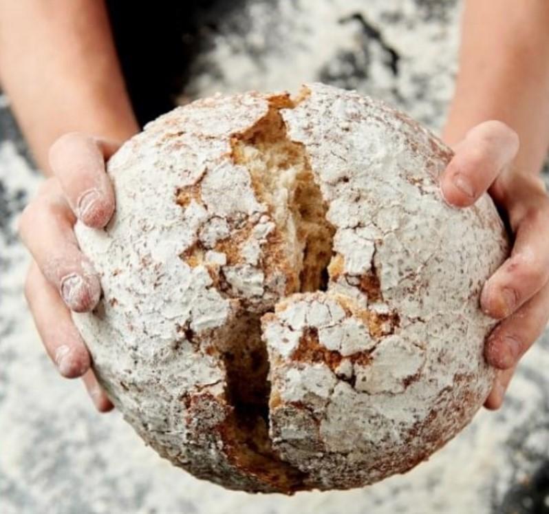 broodnatie in antwerpen