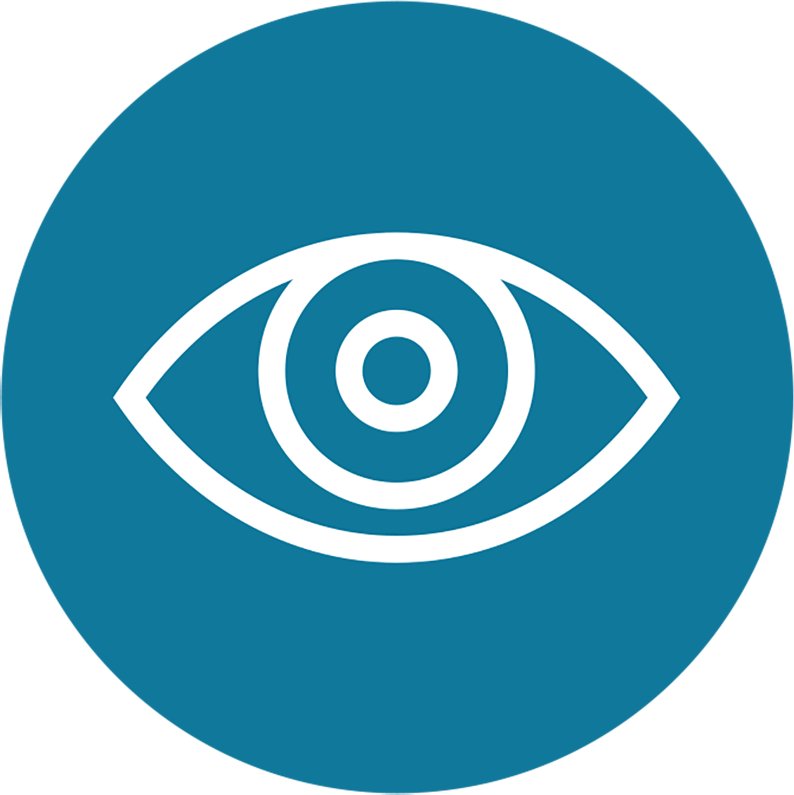 Icon 5