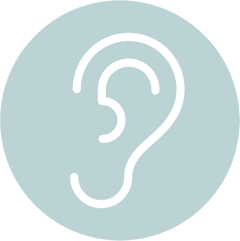 Icon 1