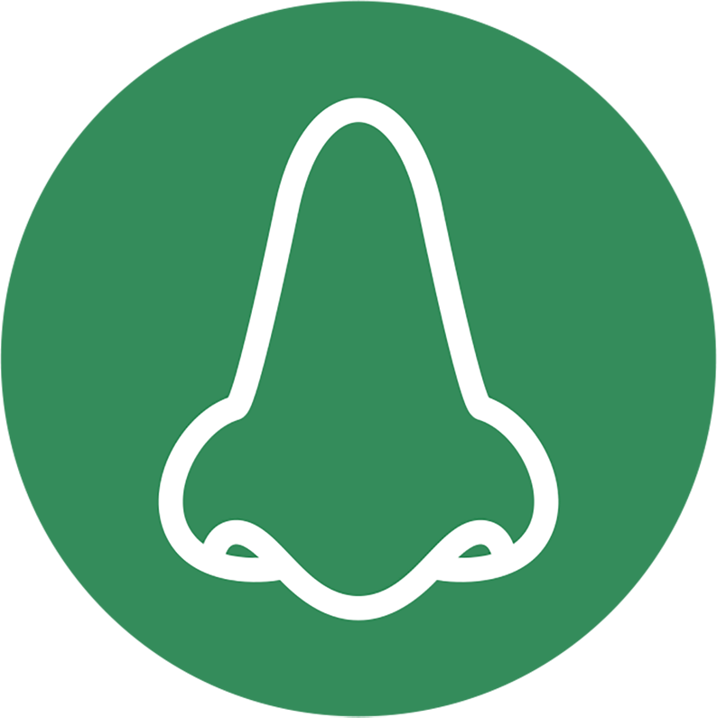 Icon 3