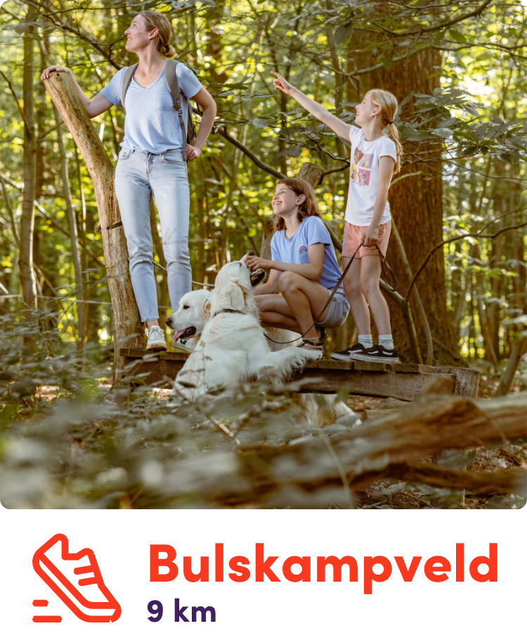 Zomertochten bulskampveld