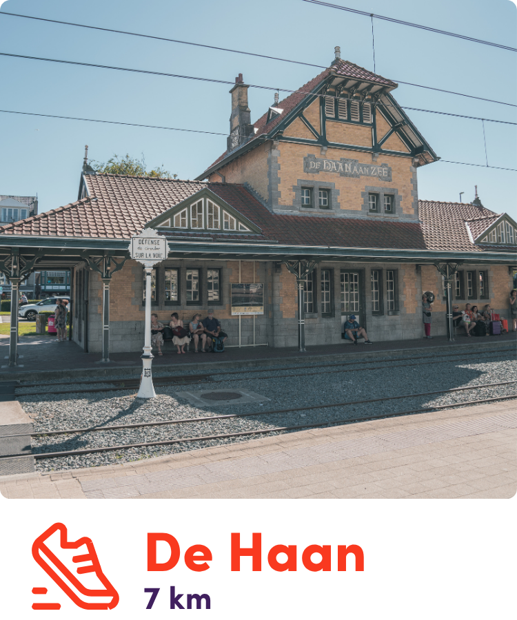 Zomertochten de haan