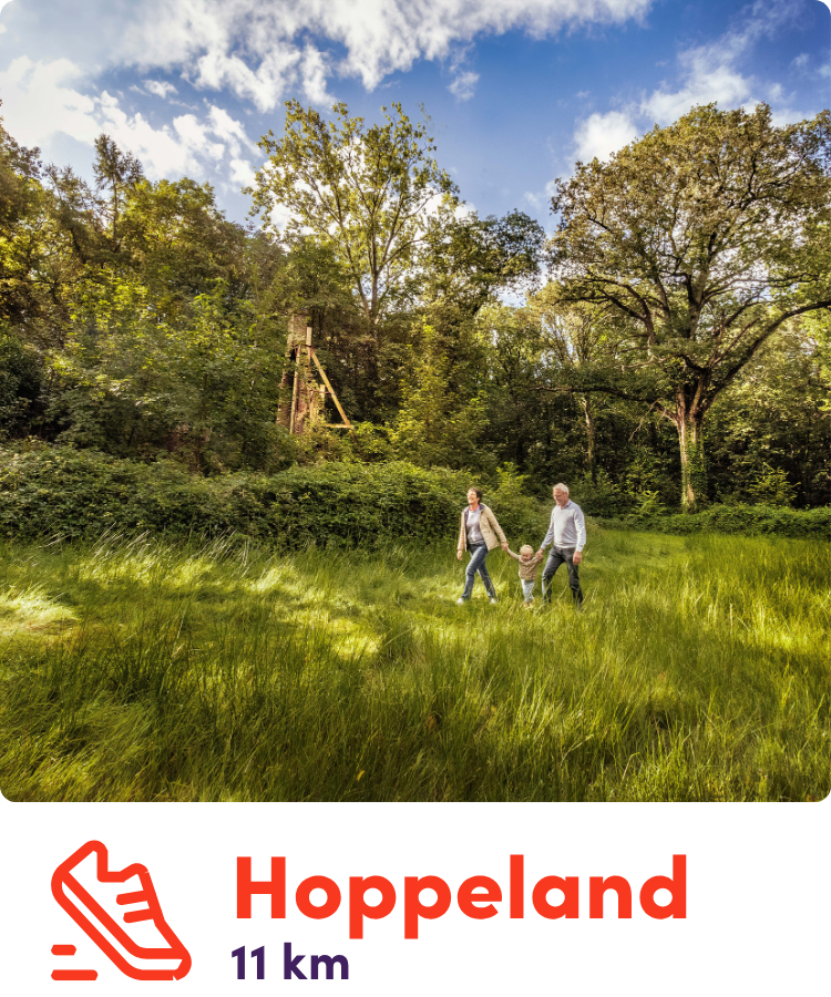 Zomertochten hoppeland