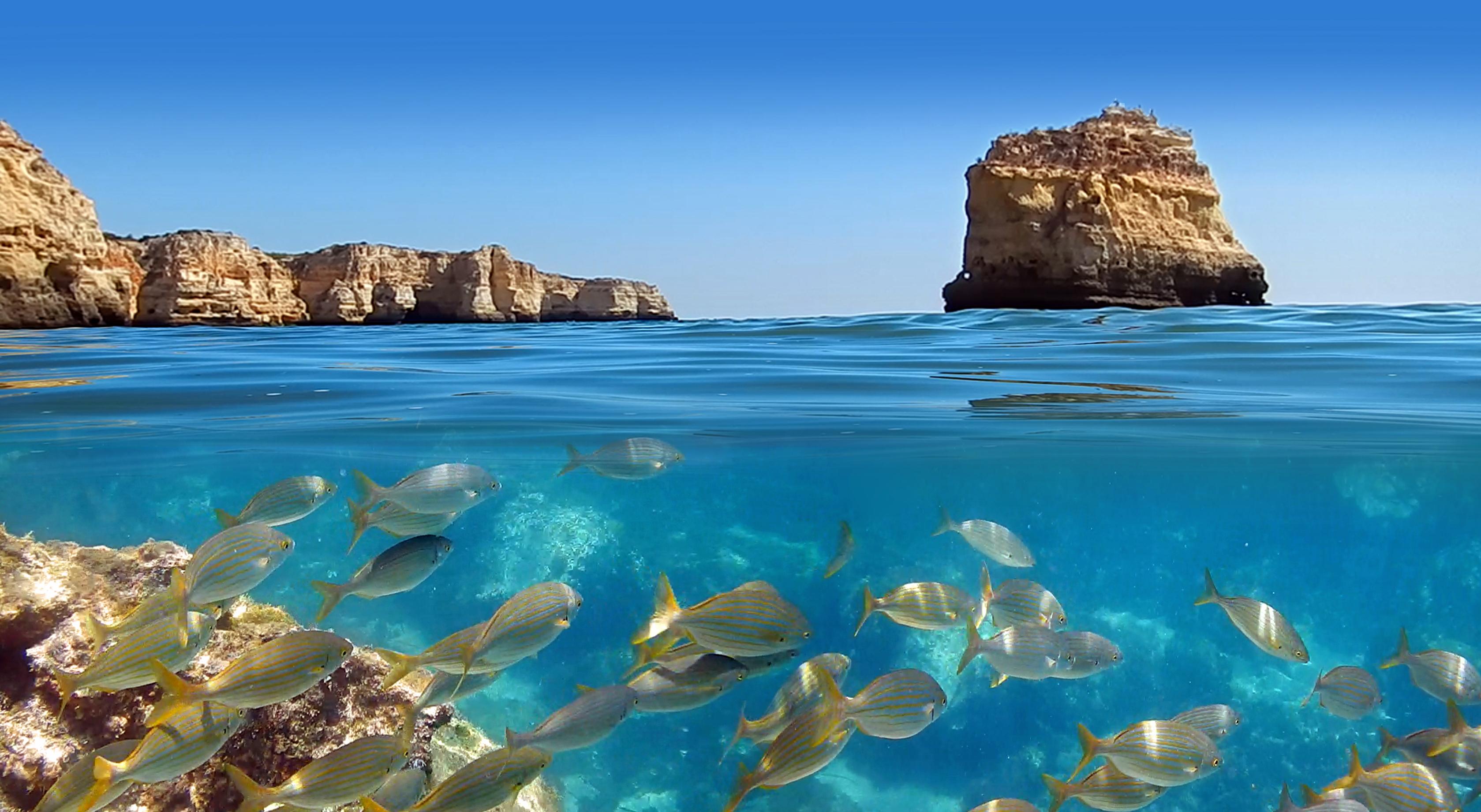 Snorkelen in de Algarve
