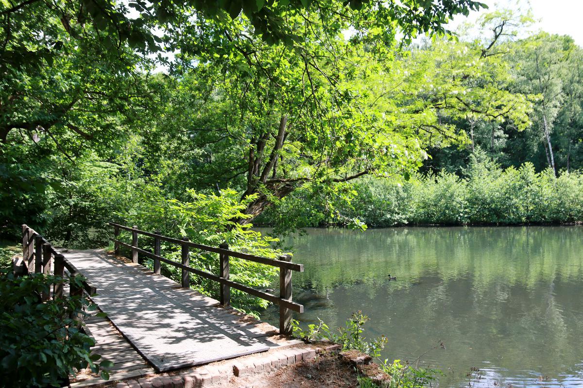 Ardooie - Brug in provinciedomein ‘t Veld