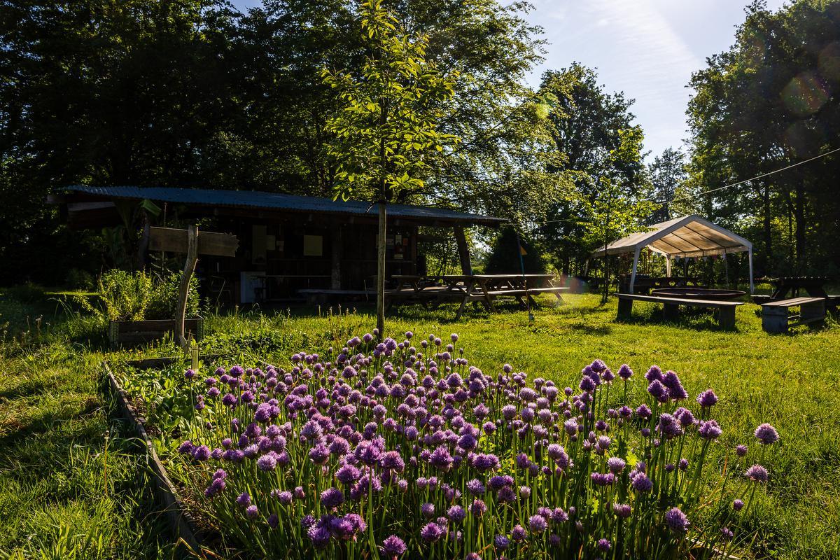 Beernem - Kasteeldomein Patershof Bos